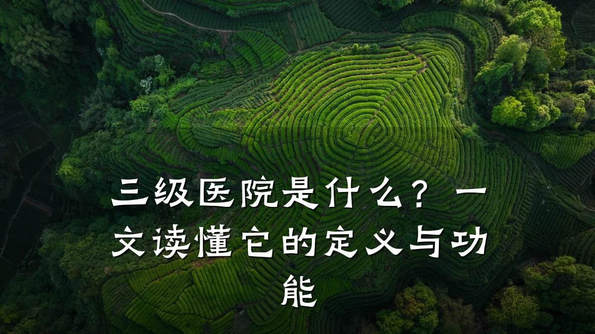 三级医院是什么?一文读懂它的定义与功能