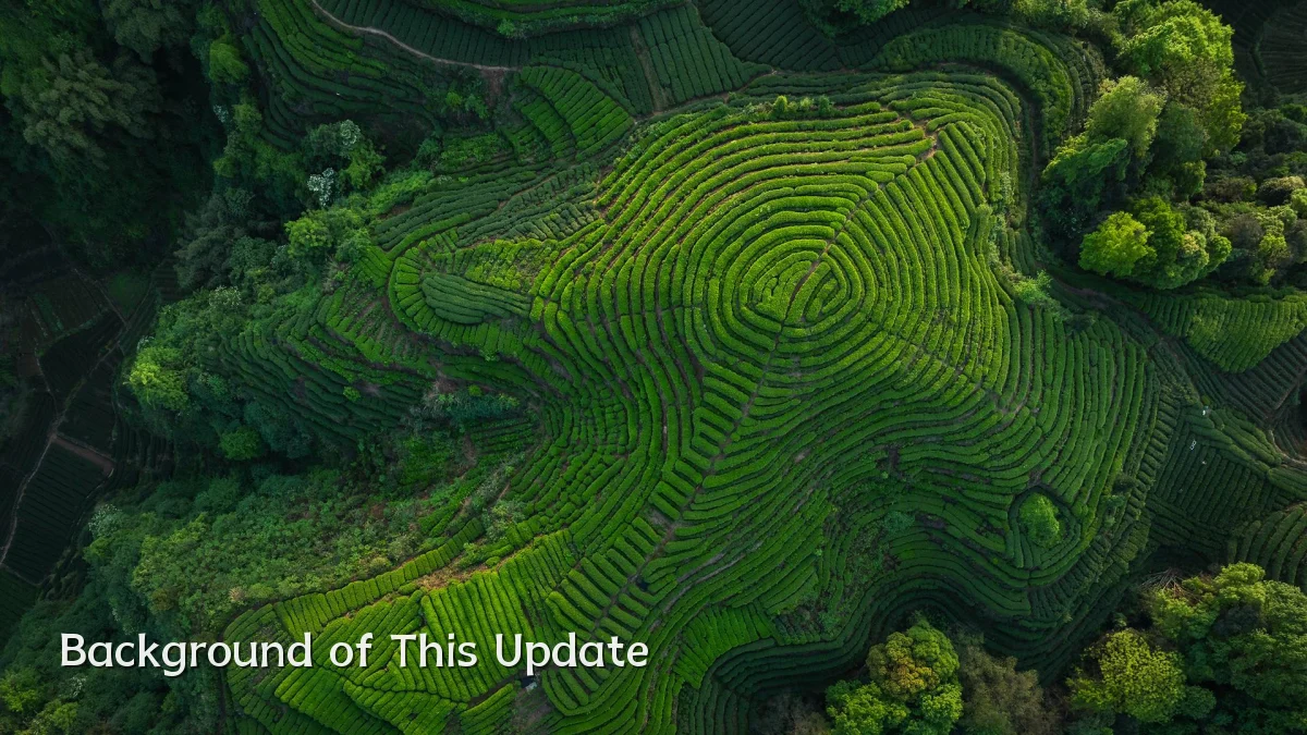 Background of This Update