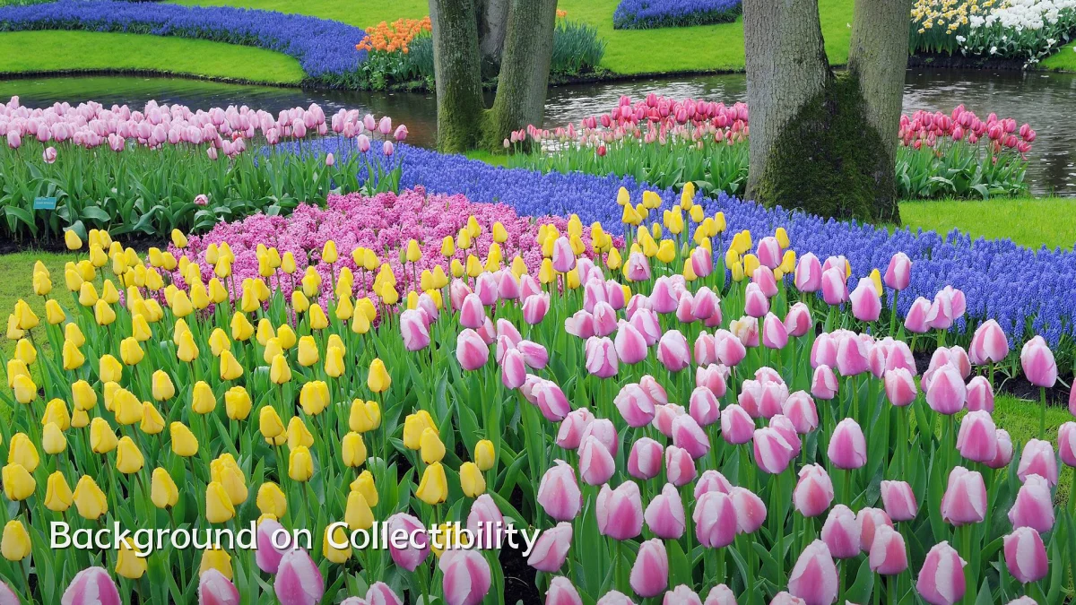 Background on Collectibility