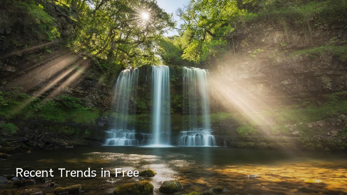 Recent Trends in Free