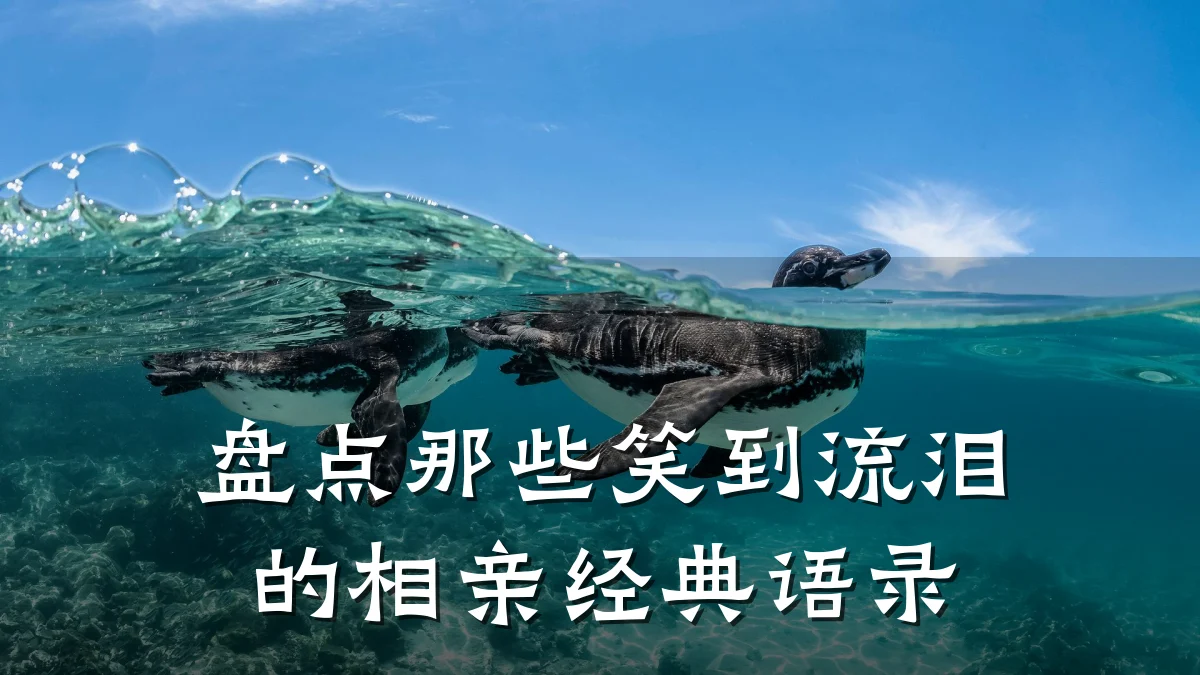 盘点那些笑到流泪的相亲经典语录