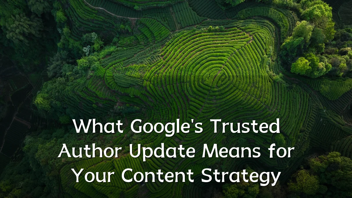 What Google's Trusted Author Update Means for Your Content Strategy
