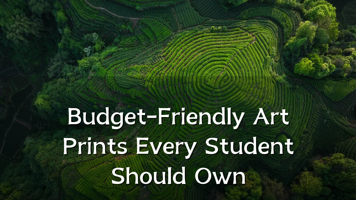 Budget-Friendly Art Prints Every Student Should Own