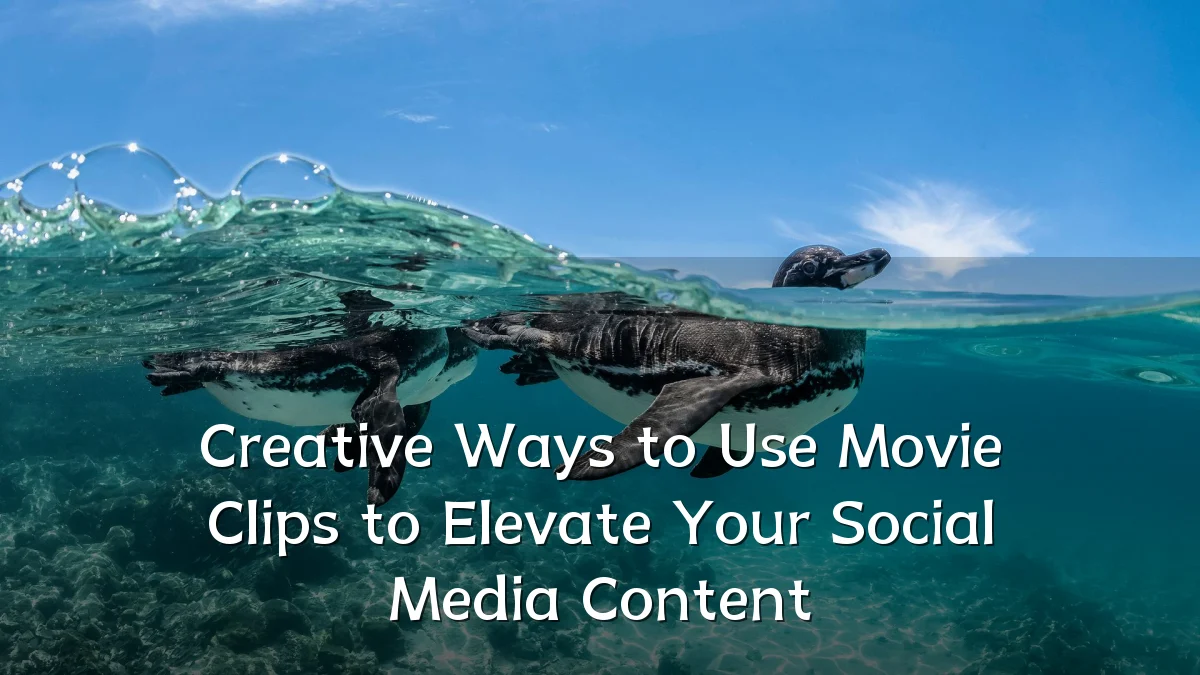 Creative Ways to Use Movie Clips to Elevate Your Social Media Content