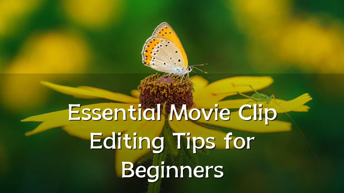 Essential Movie Clip Editing Tips for Beginners