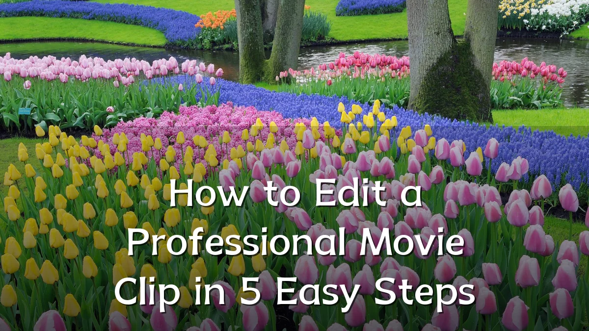 How to Edit a Professional Movie Clip in 5 Easy Steps