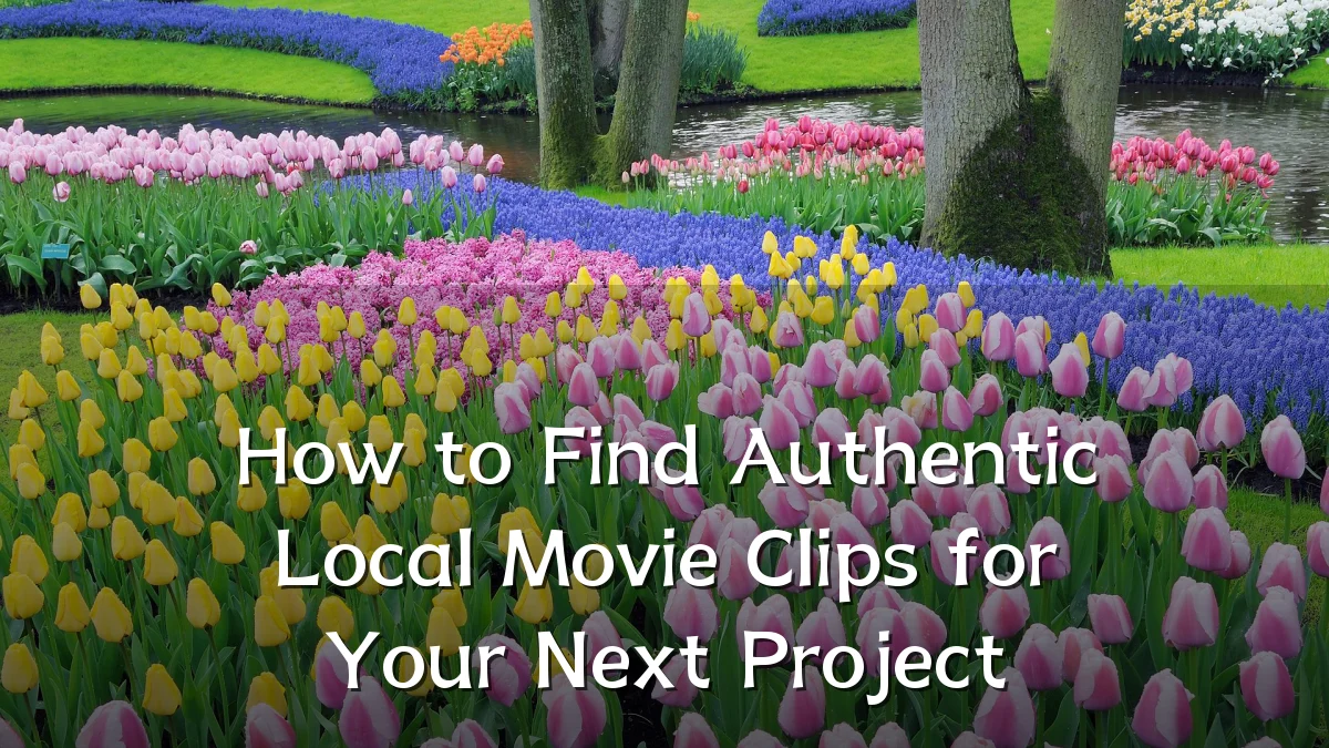 How to Find Authentic Local Movie Clips for Your Next Project