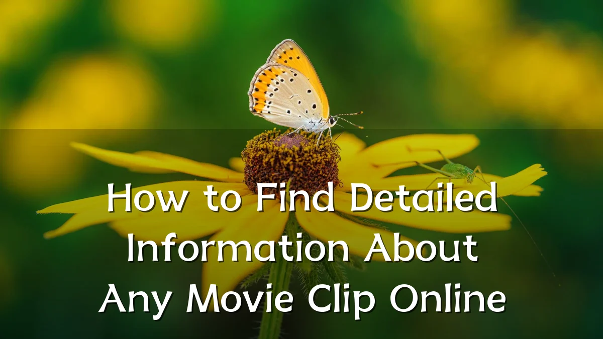 How to Find Detailed Information About Any Movie Clip Online