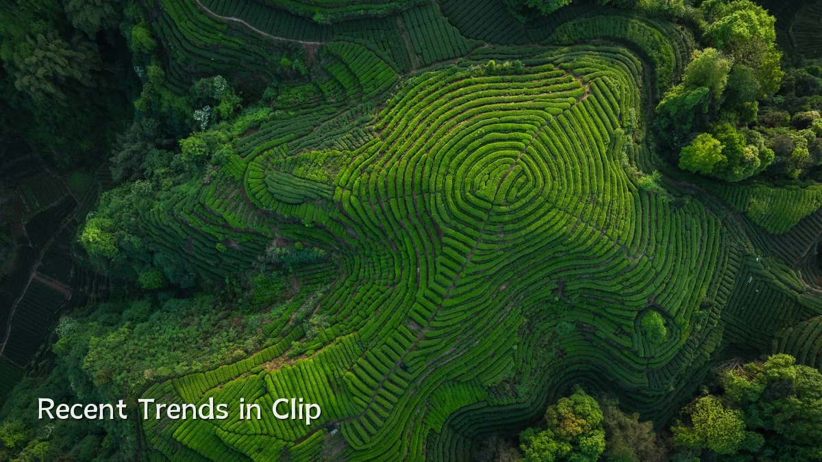 Recent Trends in Clip