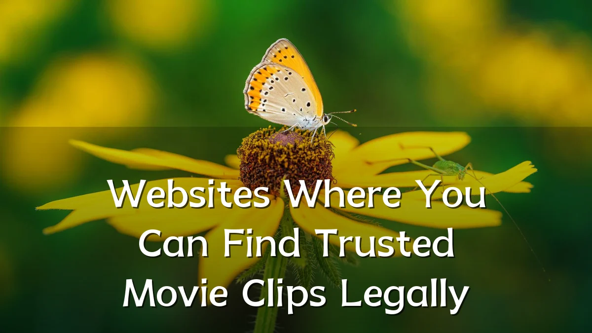 Websites Where You Can Find Trusted Movie Clips Legally