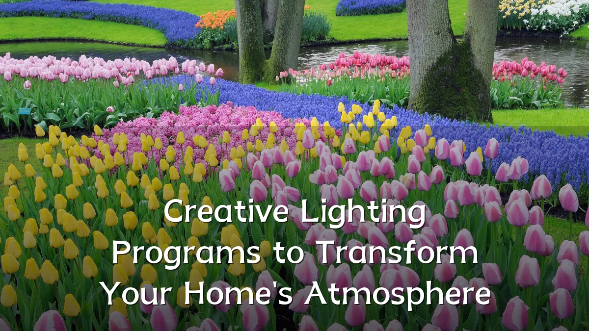 Creative Lighting Programs to Transform Your Home's Atmosphere