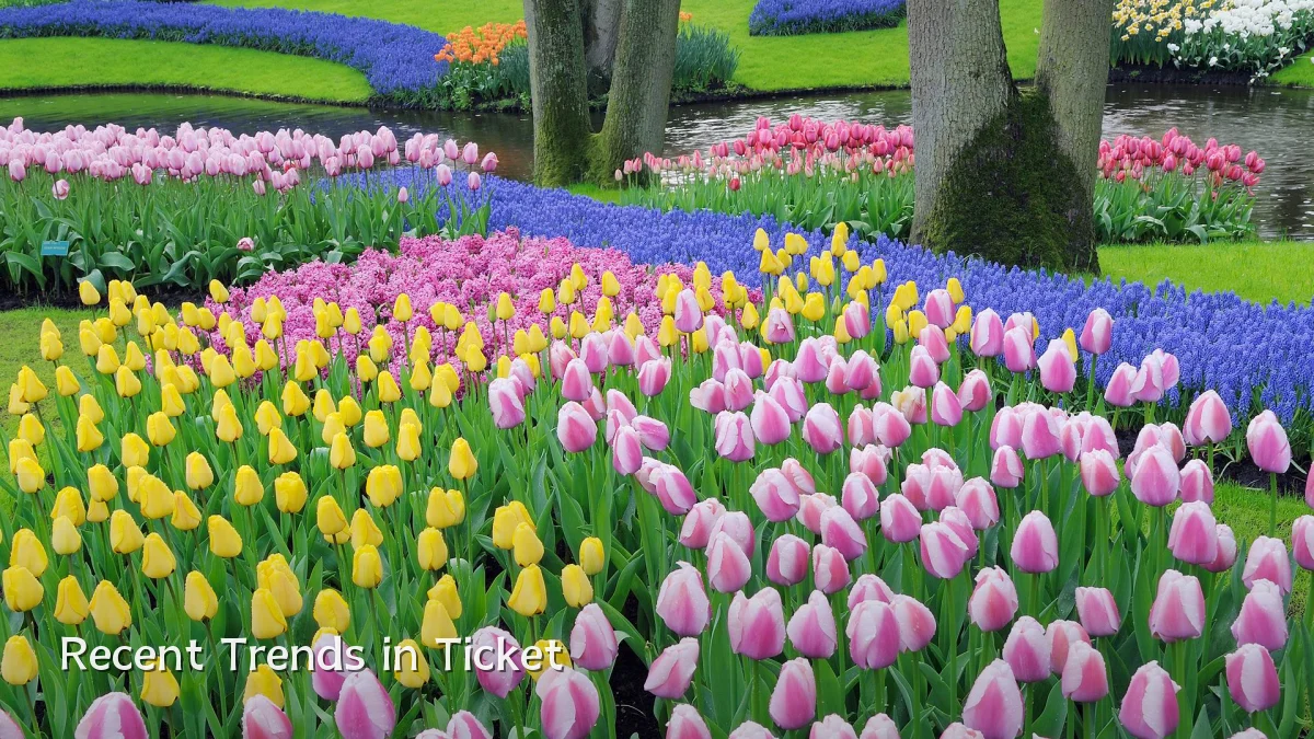 Recent Trends in Ticket