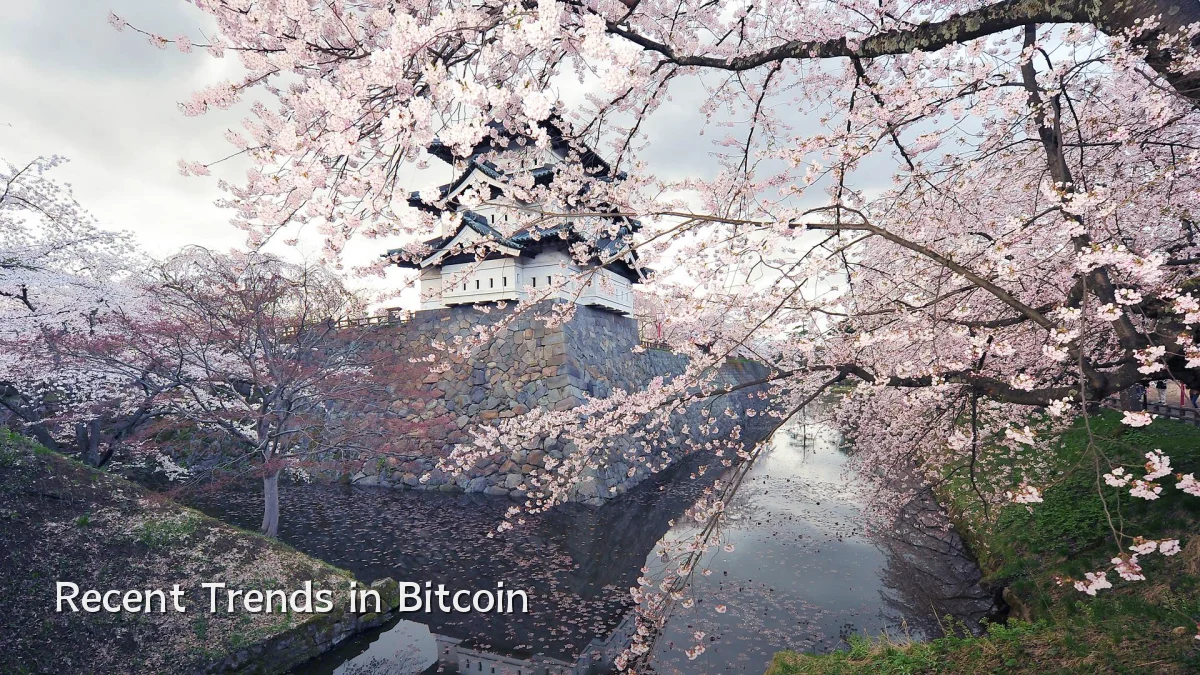 Recent Trends in Bitcoin
