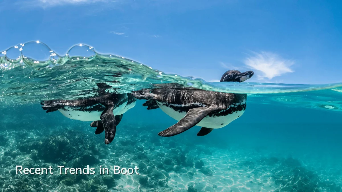 Recent Trends in Boot